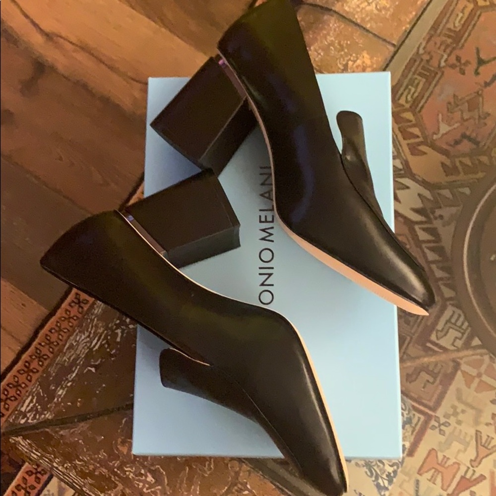 Antonio Meilani